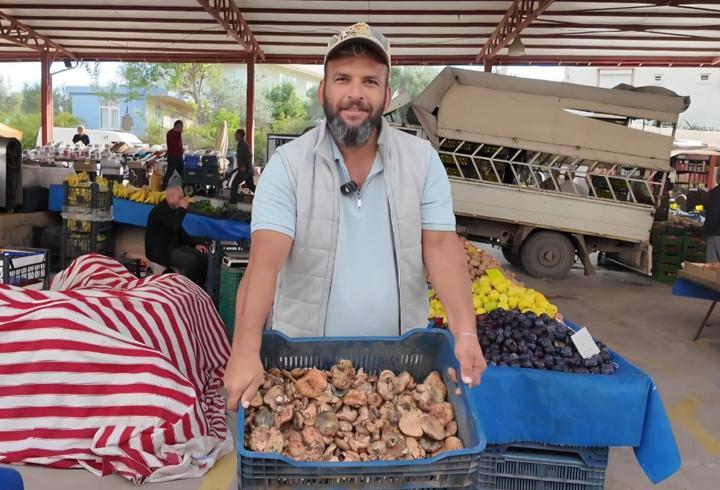 Çıntar mantarı pazar tezgahında