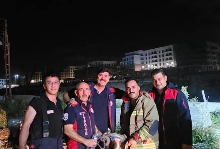 Nehre düşen koyun kurtarıldı