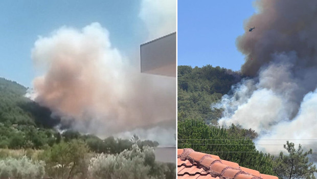 Son dakika... Muğla, Antalya ve Aydın'da orman yangını: Havadan ve karadan müdahale ediliyor