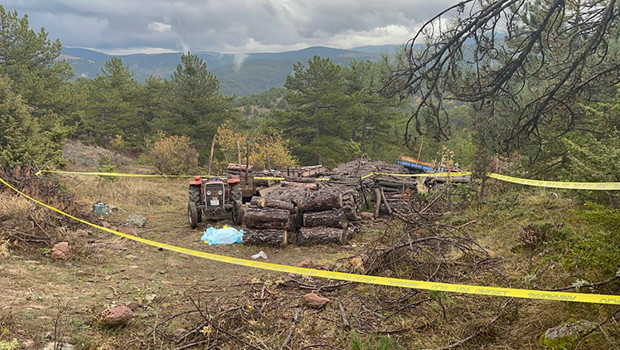 Kastamonu'da ormanda dehşet: Köy imamını odunla darbederek öldürdü