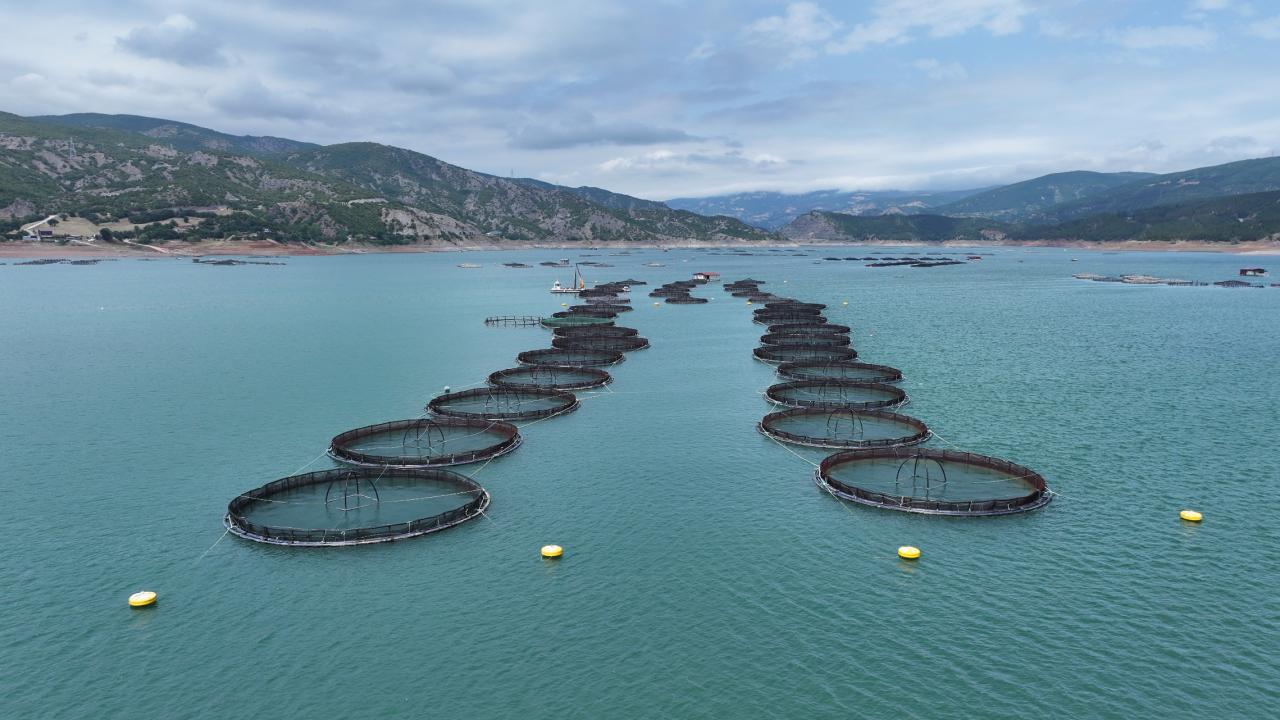 IPARD III kapsamında 95 projeye 1,2 milyar lira hibe